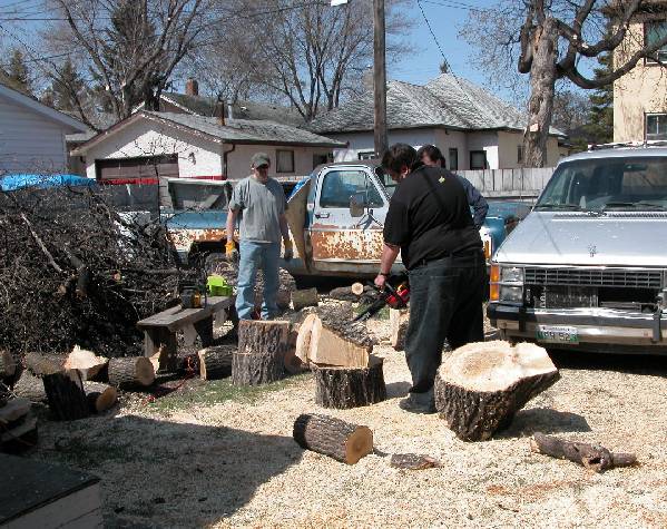 Getting wood with friends
